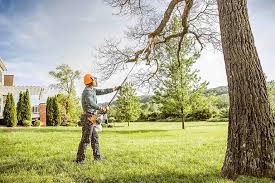 Leaf Removal in Middleville, MI